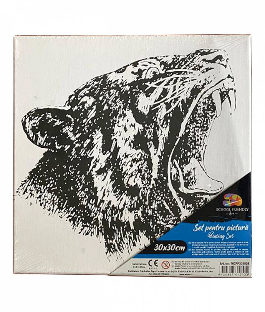 Panza SF ART pre printata sasiu lemn 16x25cm 30x30cm Felina