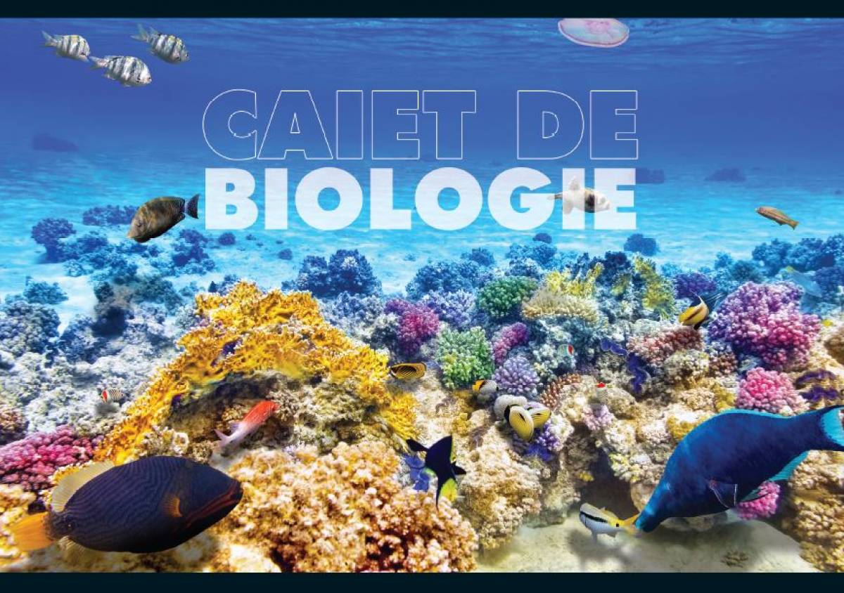 Caiet Biologie, 17x24cm, Pigna Classic, 24file, 60gr 16