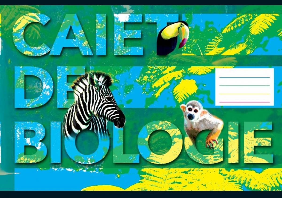 Caiet Biologie, 17x24cm, Pigna Classic, 24file, 60gr 17