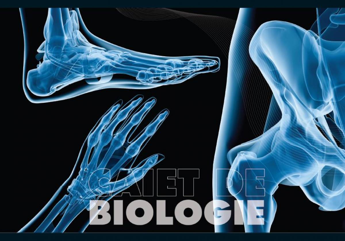 Caiet Biologie, 17x24cm, Pigna Classic, 24file, 60gr 18
