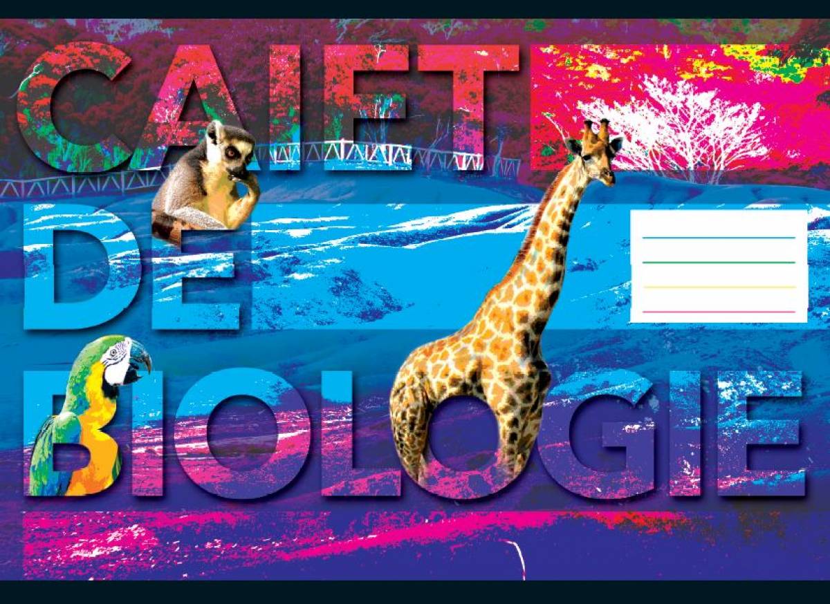 Caiet Biologie, 17x24cm, Pigna Classic, 24file, 60gr 19