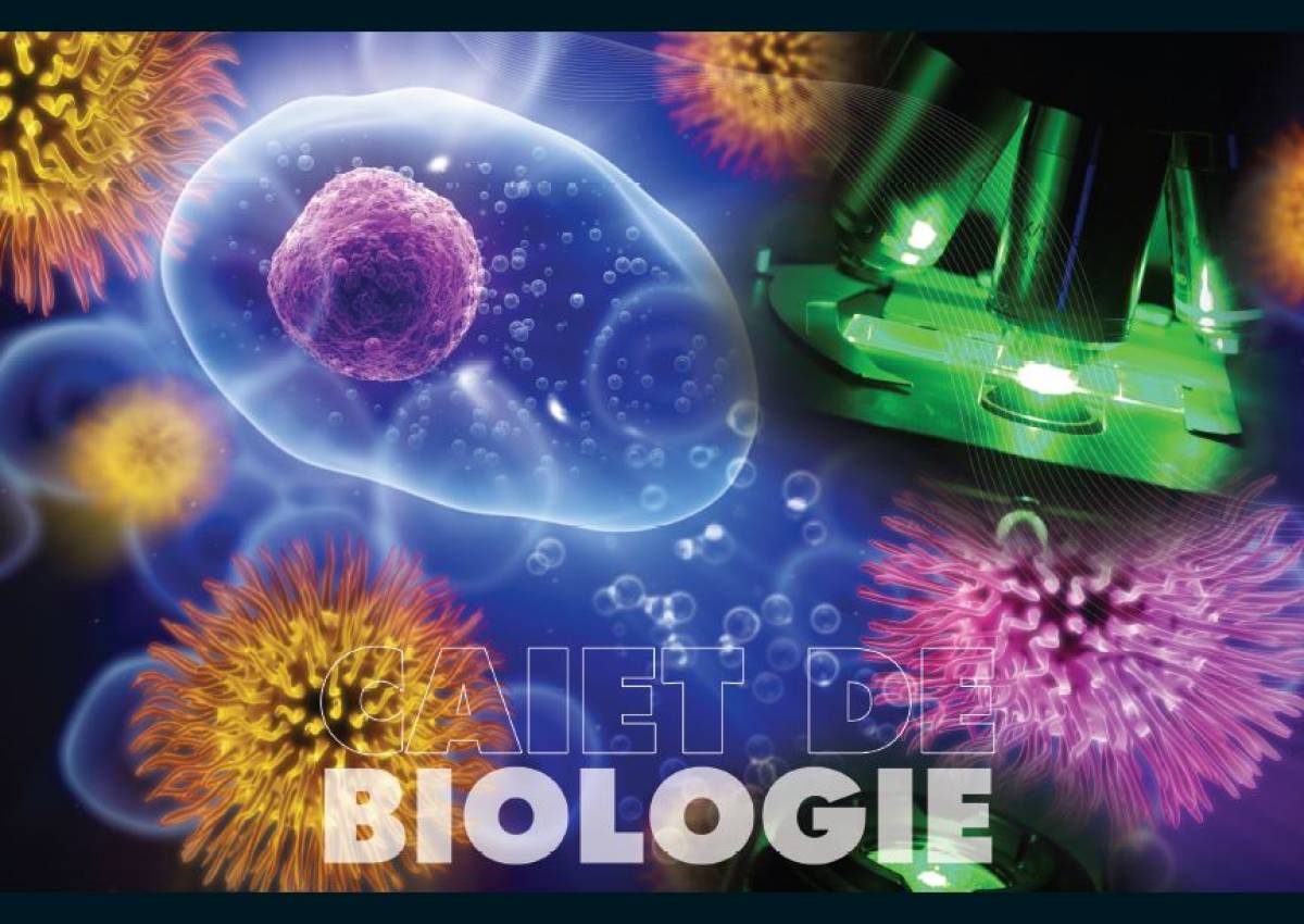 Caiet Biologie, 17x24cm, Pigna Classic, 24file, 60gr 15