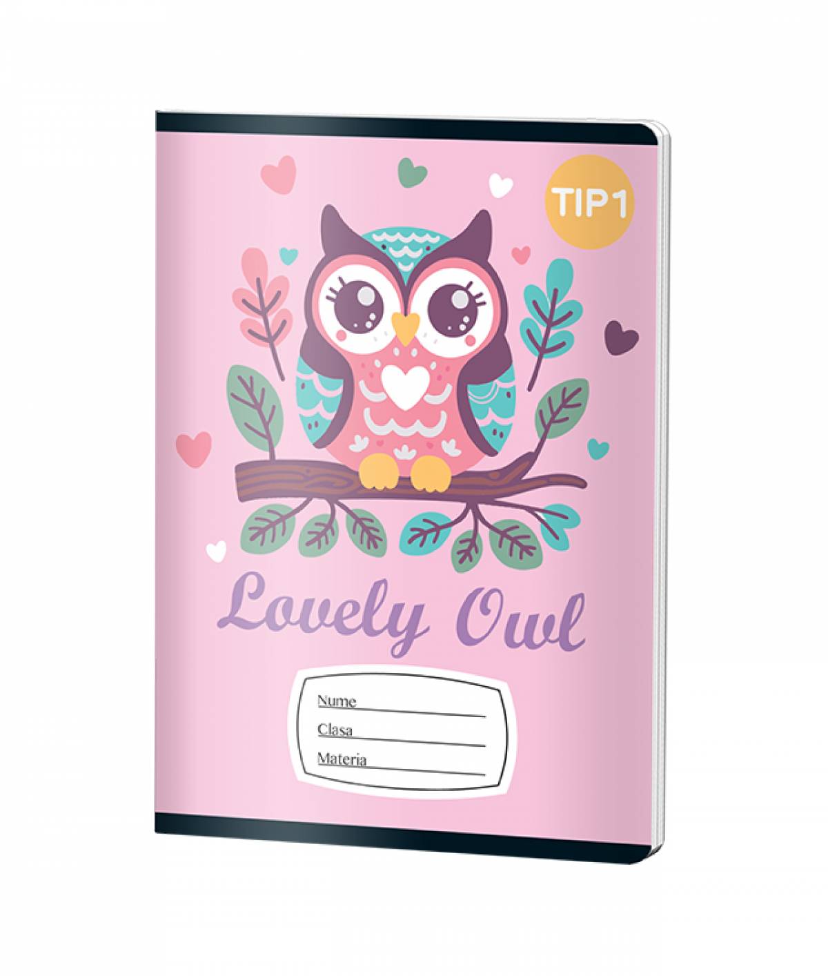 Caiet Tip1 FETE, A5, Pigna, 24 file, hartie 70gr, LUCKY OWL